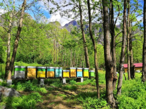  Agriturismo Val Codera  Верчея